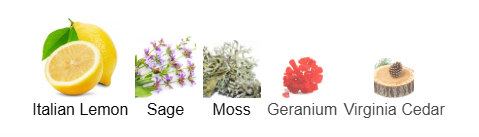 Goldfield & Banks Pacific Rock Moss