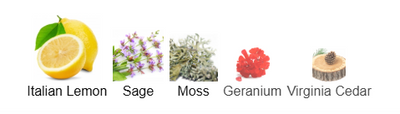 Goldfield & Banks Pacific Rock Moss
